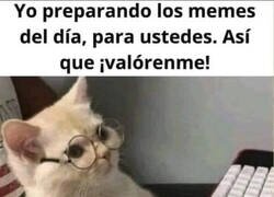 Enlace a Mi trabajo me cuesta