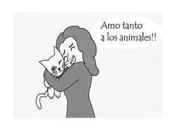 Enlace a Amor por los animales (algunos)