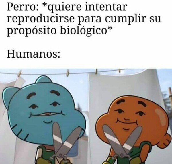 Meme_otros - Se topó con las tijeras