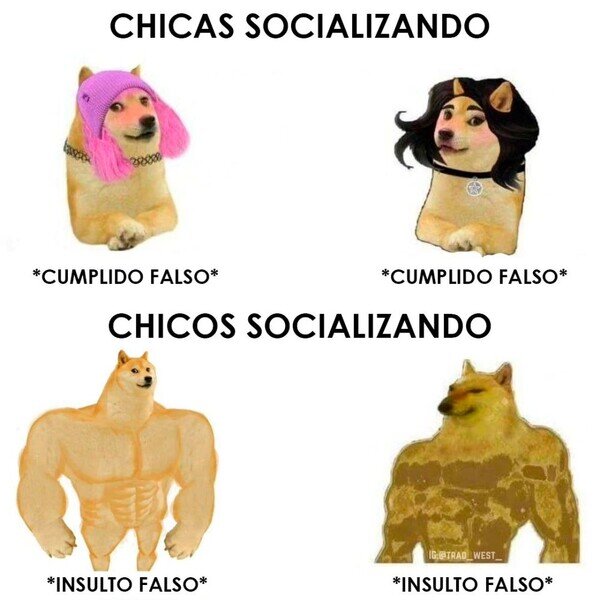 socializar,cumplido,insulto,falso,chicos,chicas