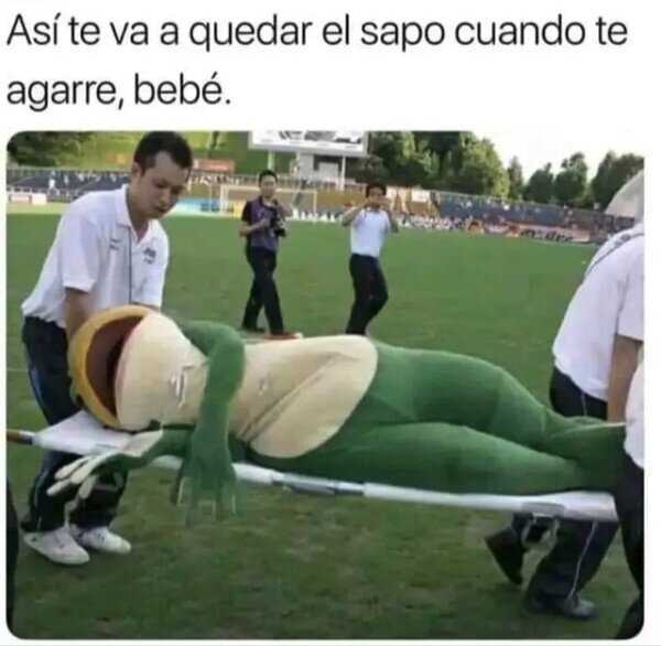 sapo,cansado,agarrar