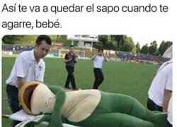 Enlace a Pobre sapo...