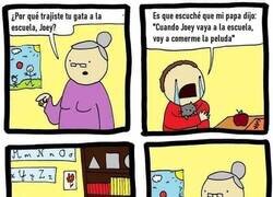 Enlace a La pobre peludita de Joey