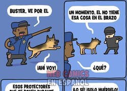 Enlace a Los perros no son malos, es el ser humano quién los corrompe