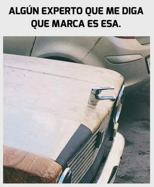 grifo,agua,marca,coche