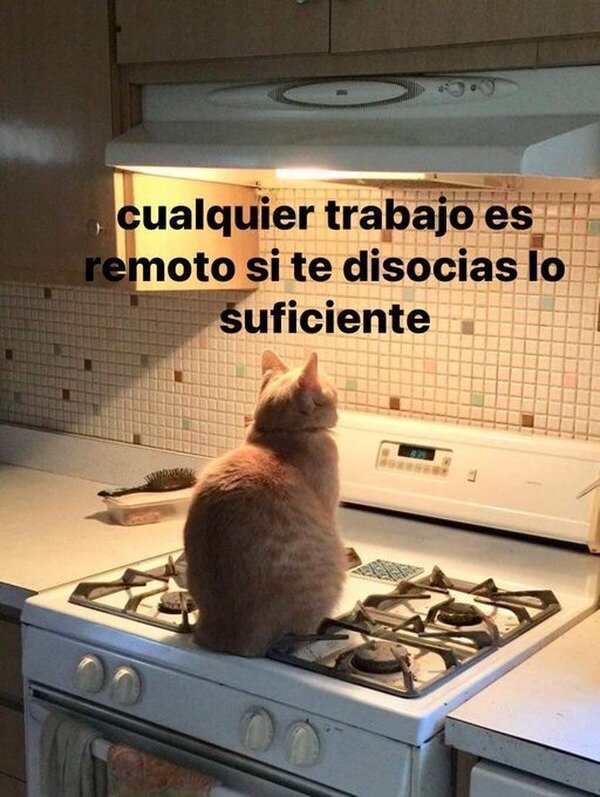 Meme_otros - La reflexión del día