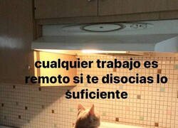 Enlace a La reflexión del día