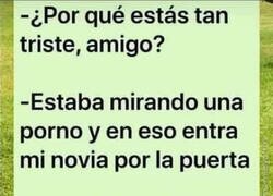 Enlace a Lo siento, hermano