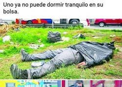 Enlace a ¡Menudo susto!