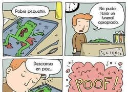 Enlace a El príncipe diseccionado