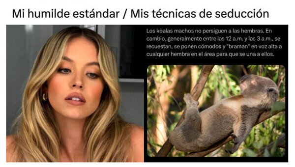Otros - Soy un koala en el amor