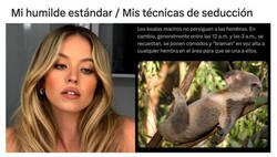 Enlace a Soy un koala en el amor