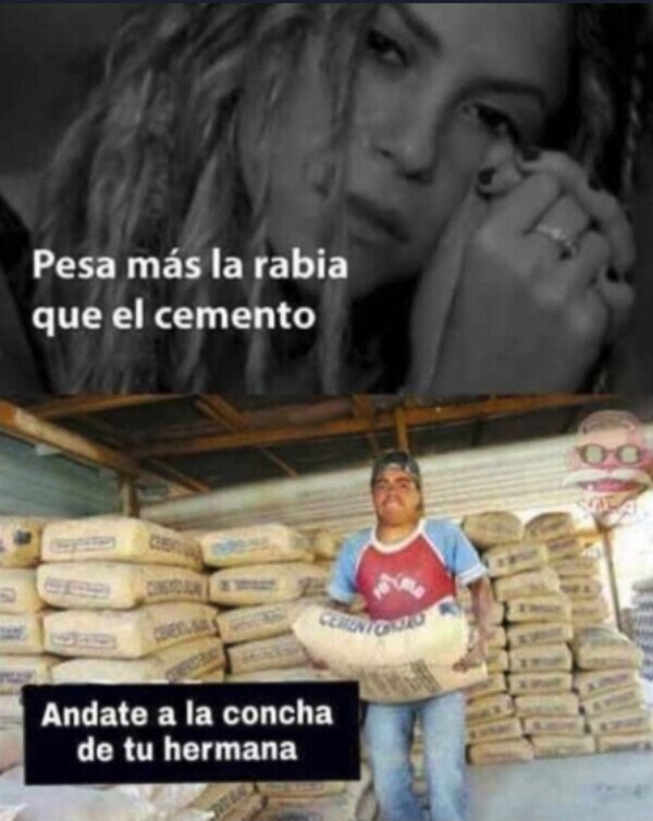Meme_otros - ¿Habrá levantado Shakira un saco?