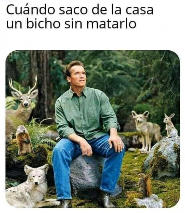 Meme_otros - El amigo de los animales