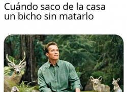 Enlace a El amigo de los animales