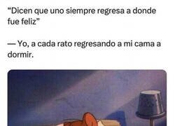 Enlace a Mi feliz regreso