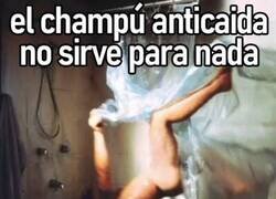 Enlace a Me han timado