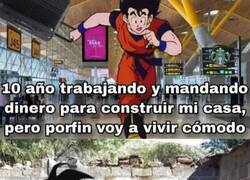 Enlace a Emosido Engañado