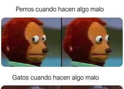 Enlace a Te miran a la cara