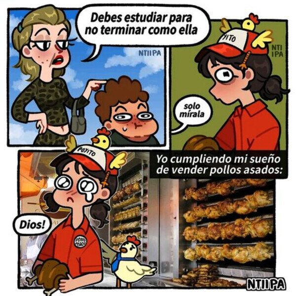 estudiar,sueño,trabajo,vender,pollos