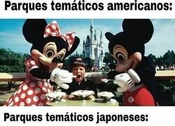 Enlace a Parques temáticos y parques traumáticos