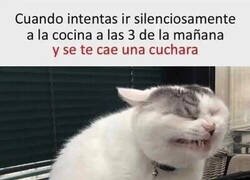 Enlace a ¡Maldición!