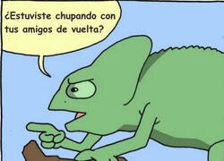 Enlace a Delatador