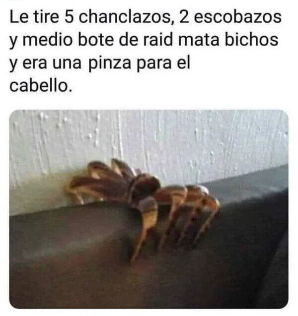 Meme_otros - La pinza arácnida