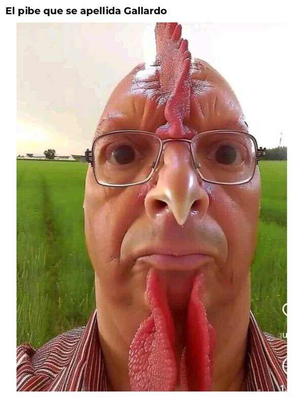 Meme_otros - Mi colega el Gallardo