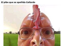 Enlace a Mi colega el Gallardo