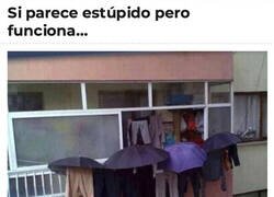 Enlace a Si funciona, no es estúpido