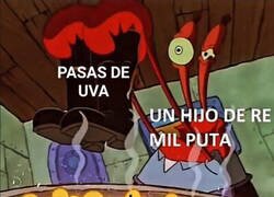 Enlace a Las echan a perder