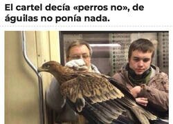 Enlace a Vacío legal