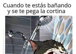 Enlace a Sensación desagradable