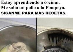 Enlace a Pollo al crematorio