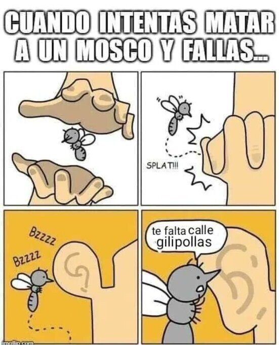 Meme_otros - Malditos moscos...