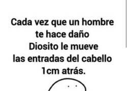 Enlace a Por eso hay tanto calvo