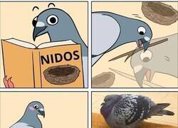 Enlace a Algo es algo