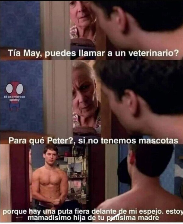 spiderman,tia may,mascotas