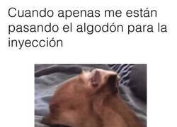 Enlace a Sufrimiento constante