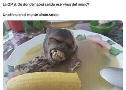 Enlace a ¿De dónde habrá salido?