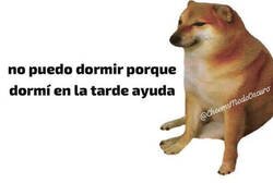 Enlace a Yo por la noche cuando hago siesta