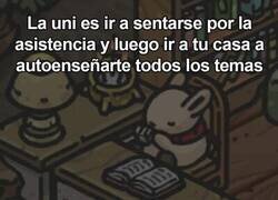 Enlace a Lo que aprendí en la universidad