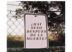 Enlace a Habrá que morirse con un tapón puesto