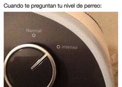 Enlace a Perreo modo: intenso