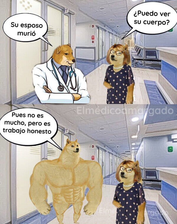 marido,doctor,médico,cuerpo,muerte
