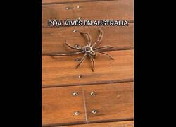 Enlace a POV: Estás en Australia