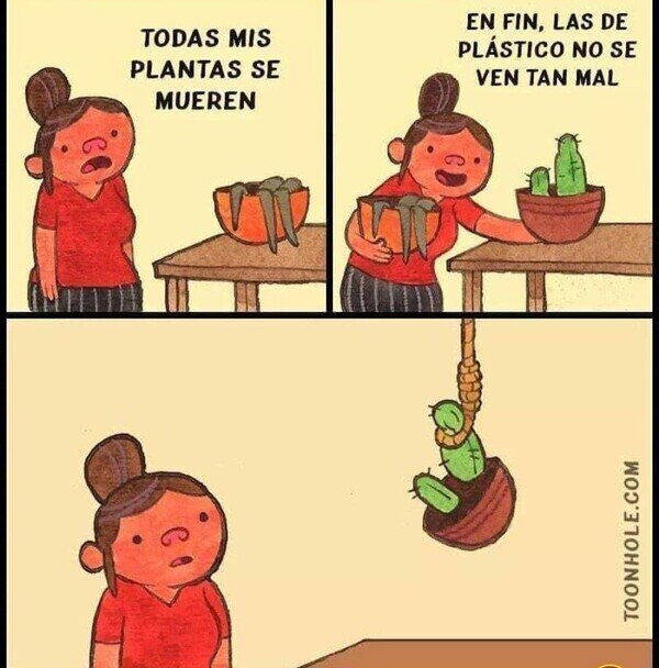 Otros - Se me mueren las plantas