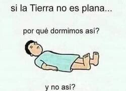 Enlace a Jaque Mate, ovejas