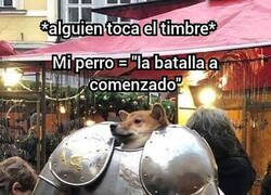 Enlace a Mi perro te declara la guerra